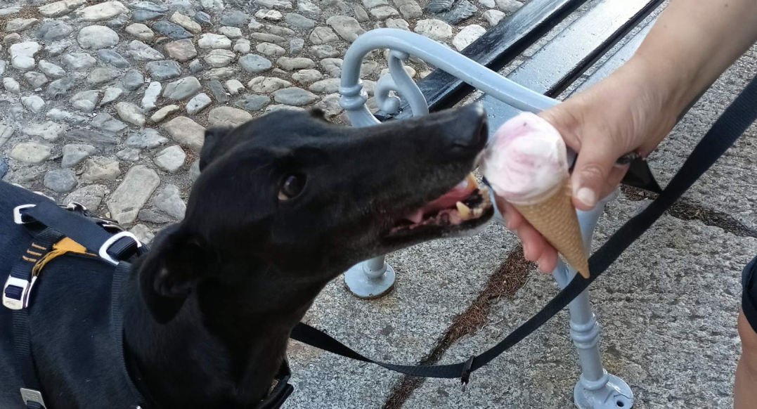 Proč a jak jsem vytvořil vlastní značkovací jazyk